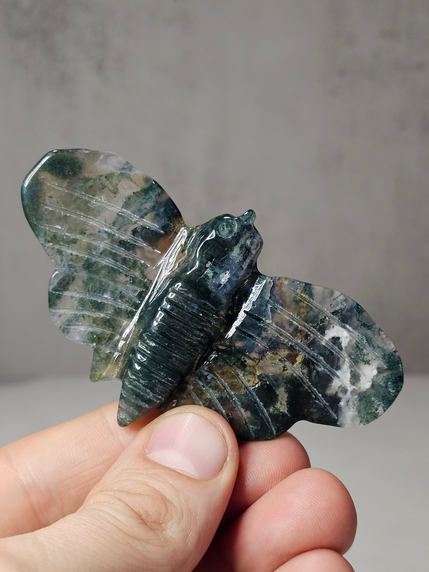 Moss Agate Moth Carving