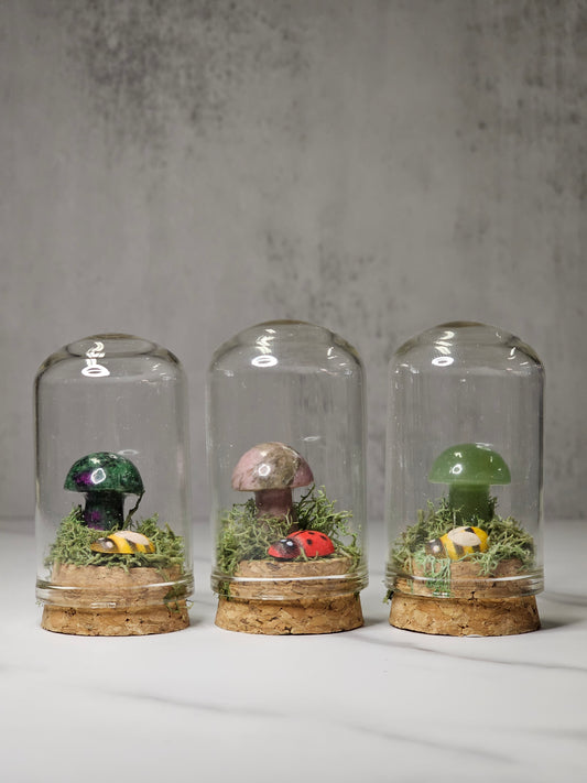 Crystal Mushroom Terrarium