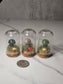 Crystal Mushroom Terrarium