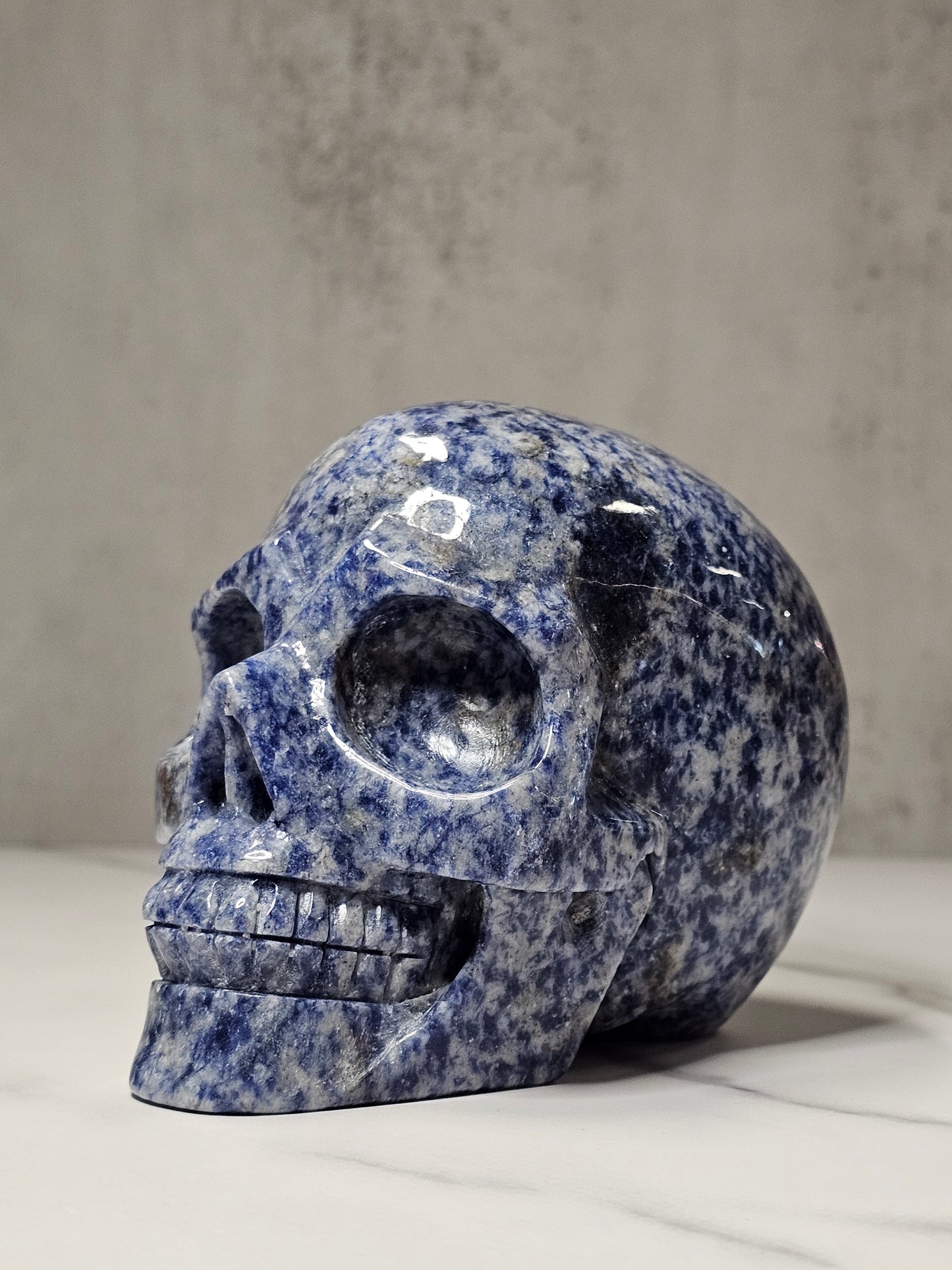 Sodalite Skull Carving