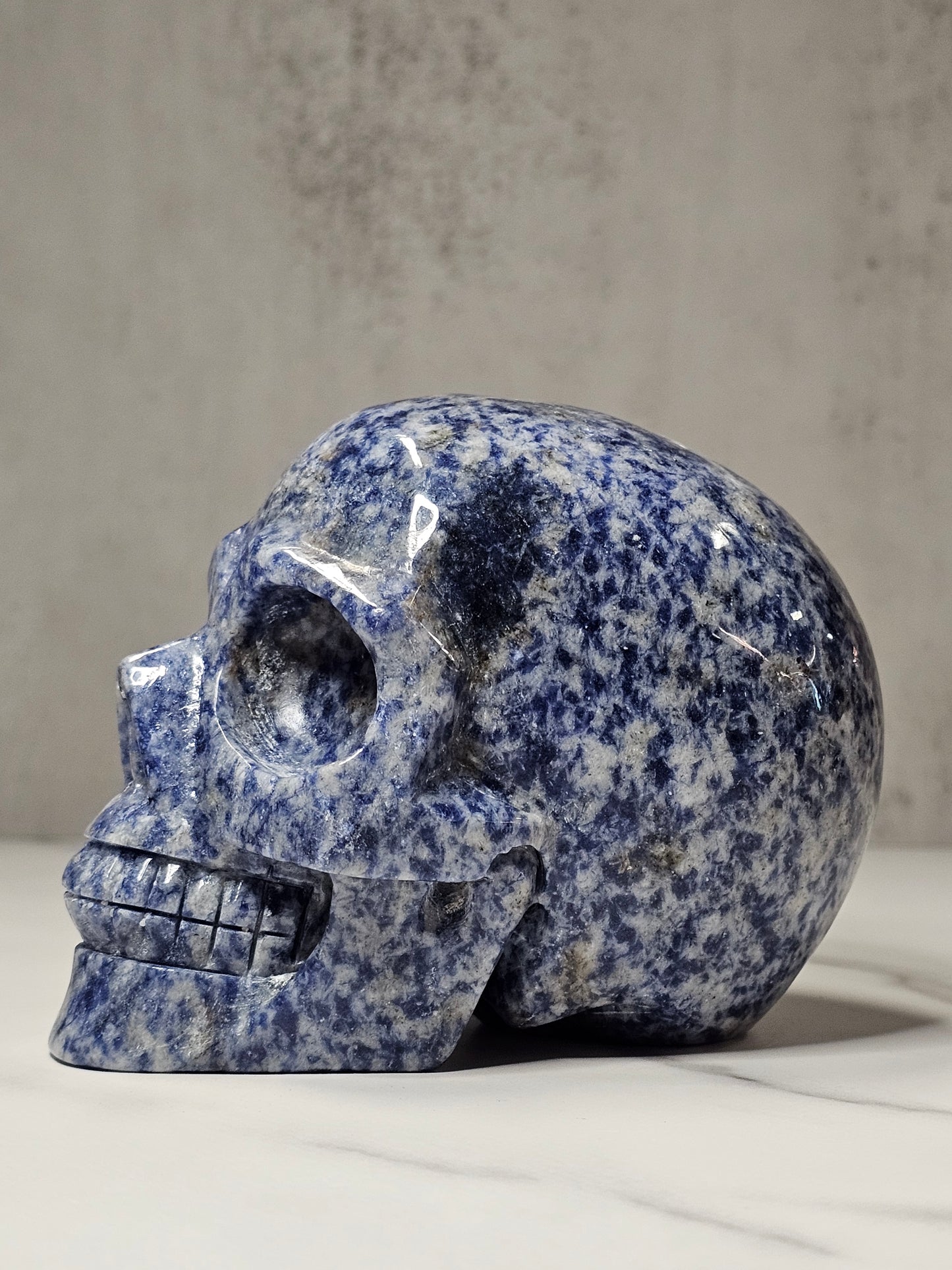 Sodalite Skull Carving