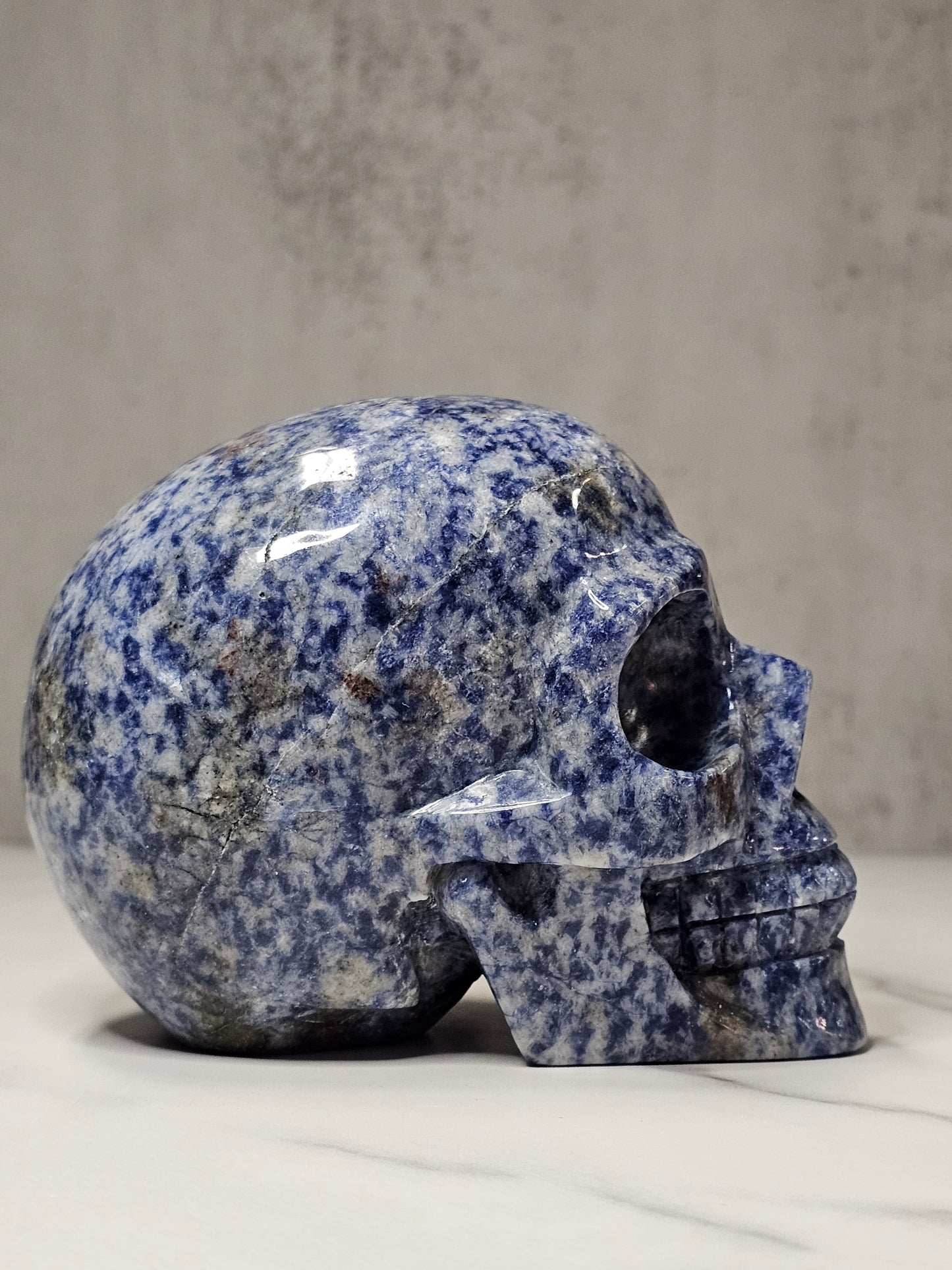 Sodalite Skull Carving