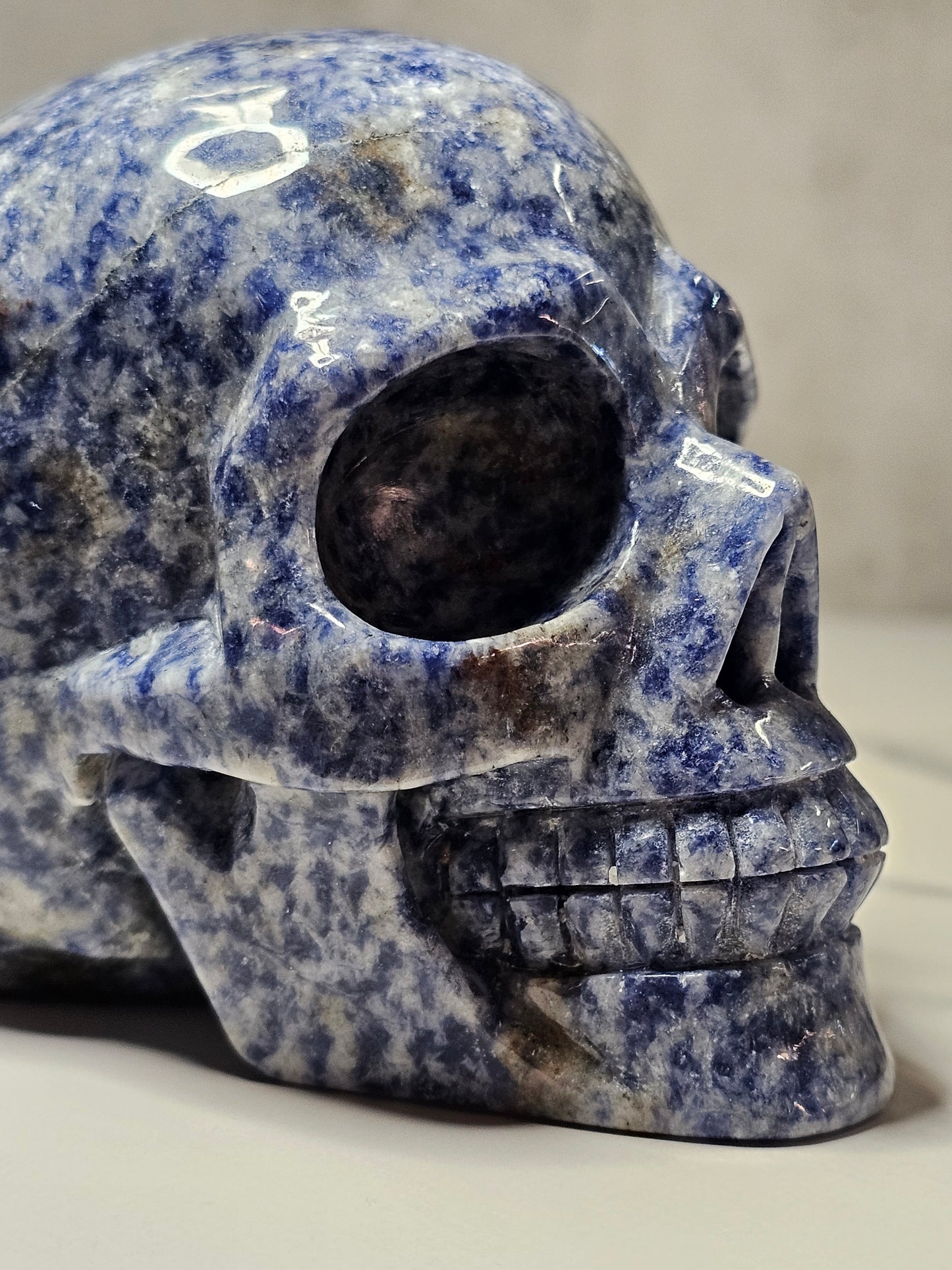 Sodalite Skull Carving