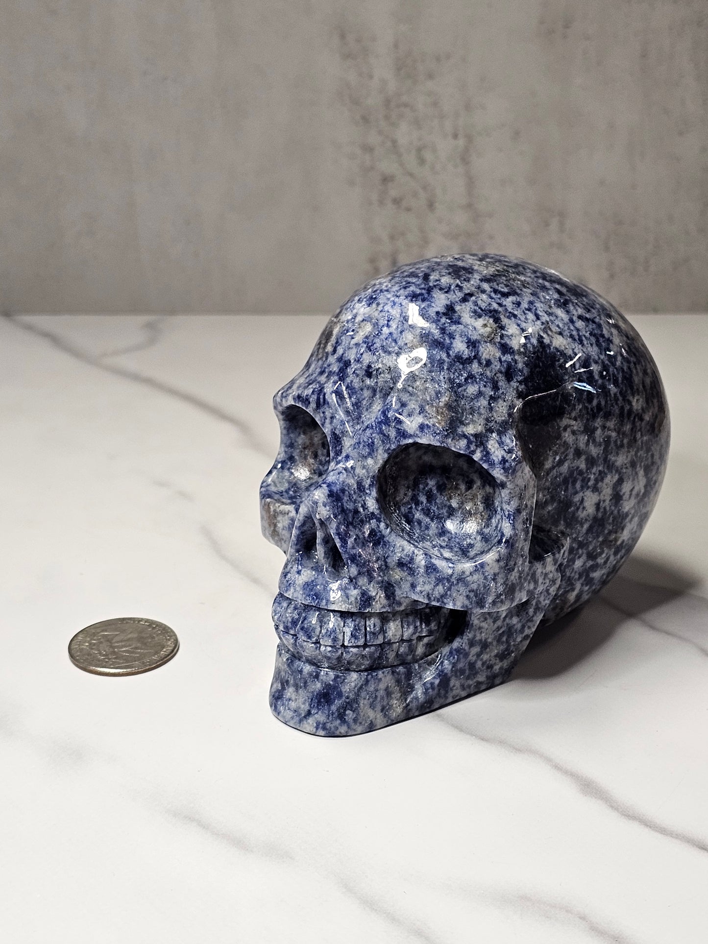 Sodalite Skull Carving