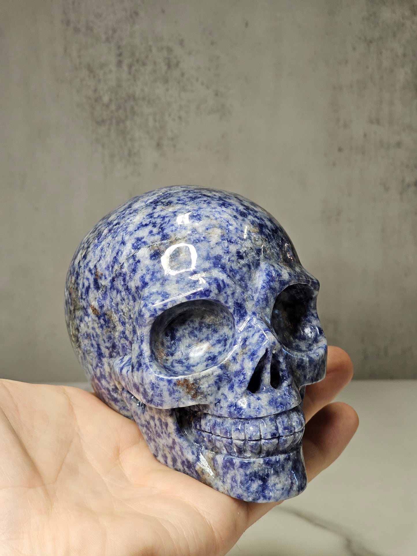 Sodalite Skull Carving