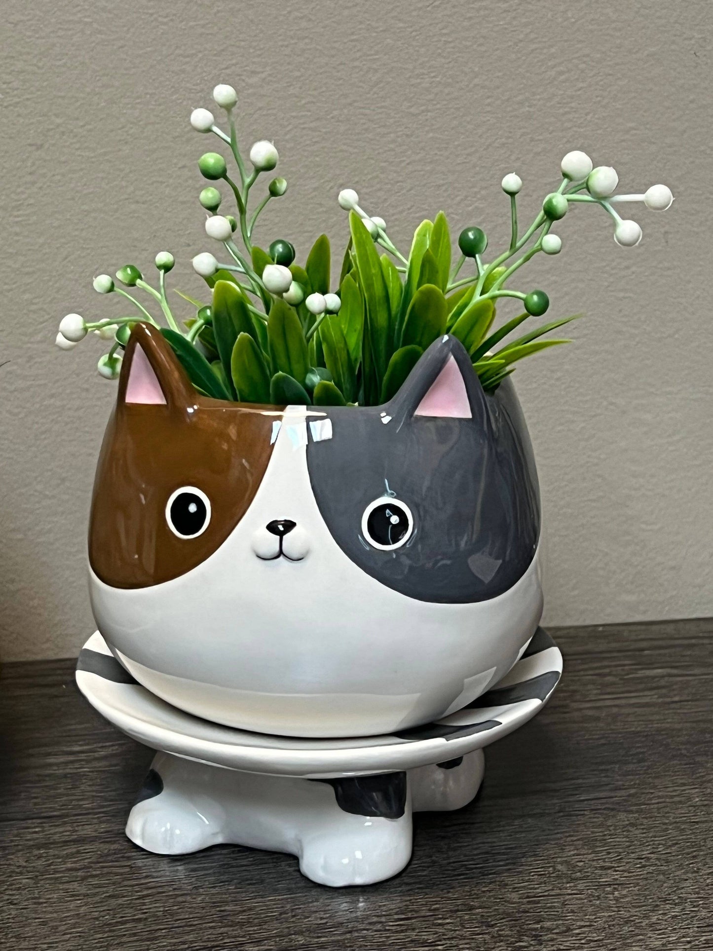 Cat's Meow Ceramic Footsie Planter