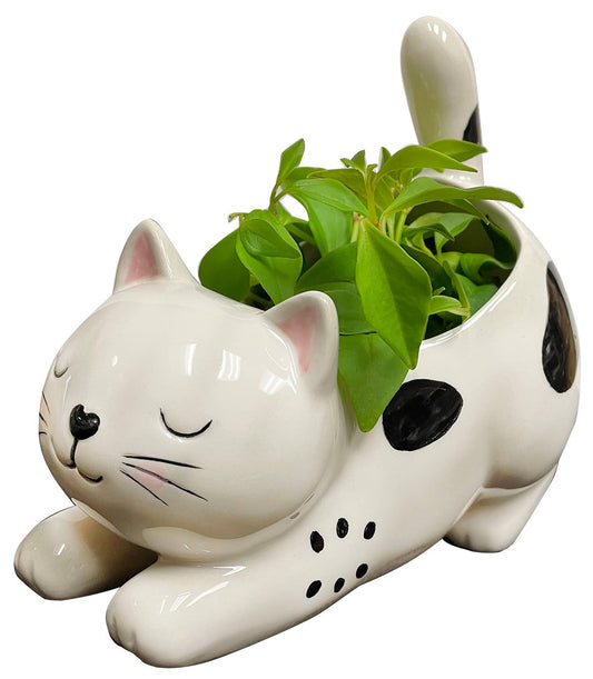 Raise Your Bum Kitty Ceramic Planter