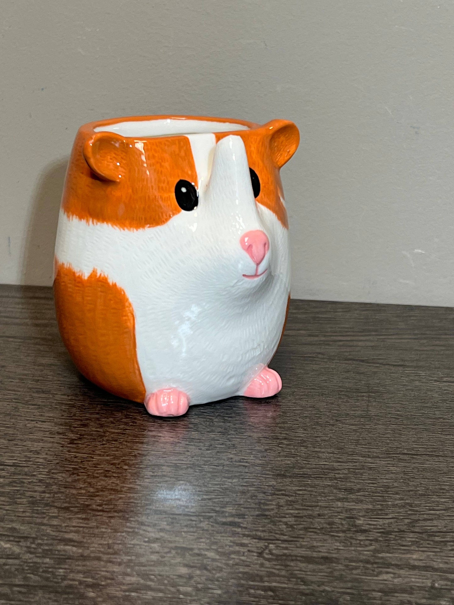 Guinea Pig Glasses Holder and Planter - Ceramic