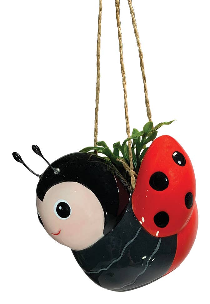 Mini Bee & Ladybug Hanging Ceramic Planters