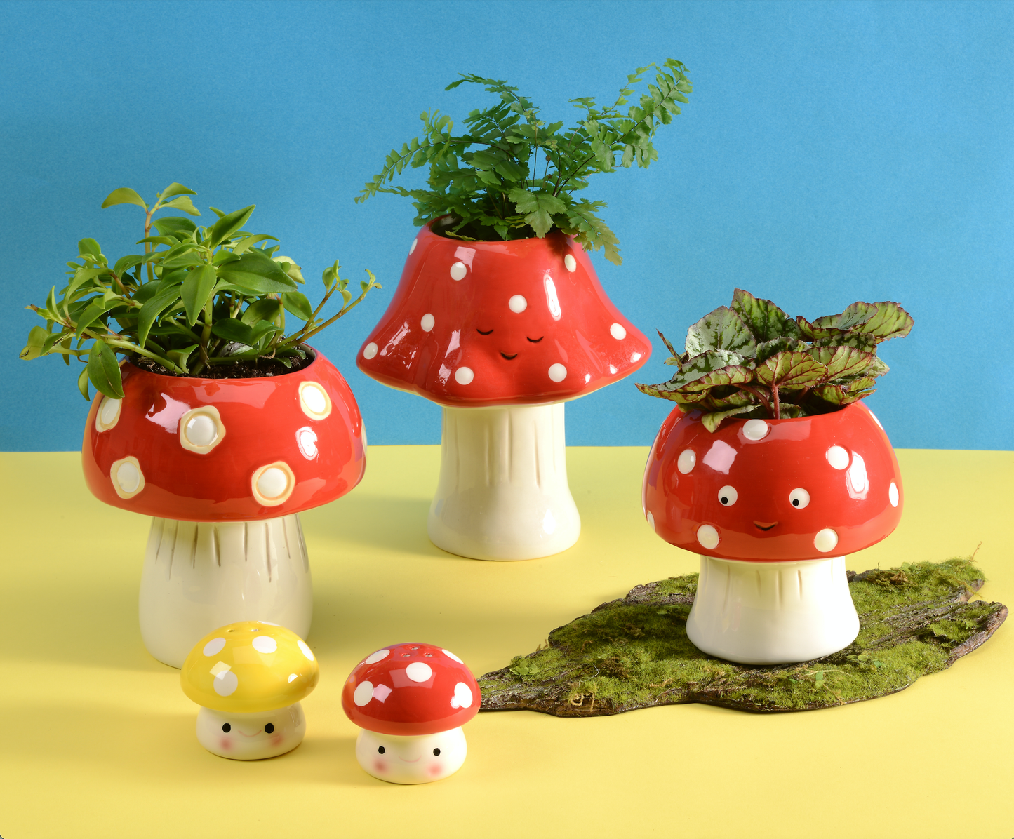 Ceramic Mushroom Planter