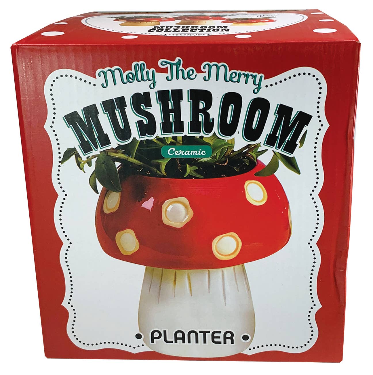 Ceramic Mushroom Planter