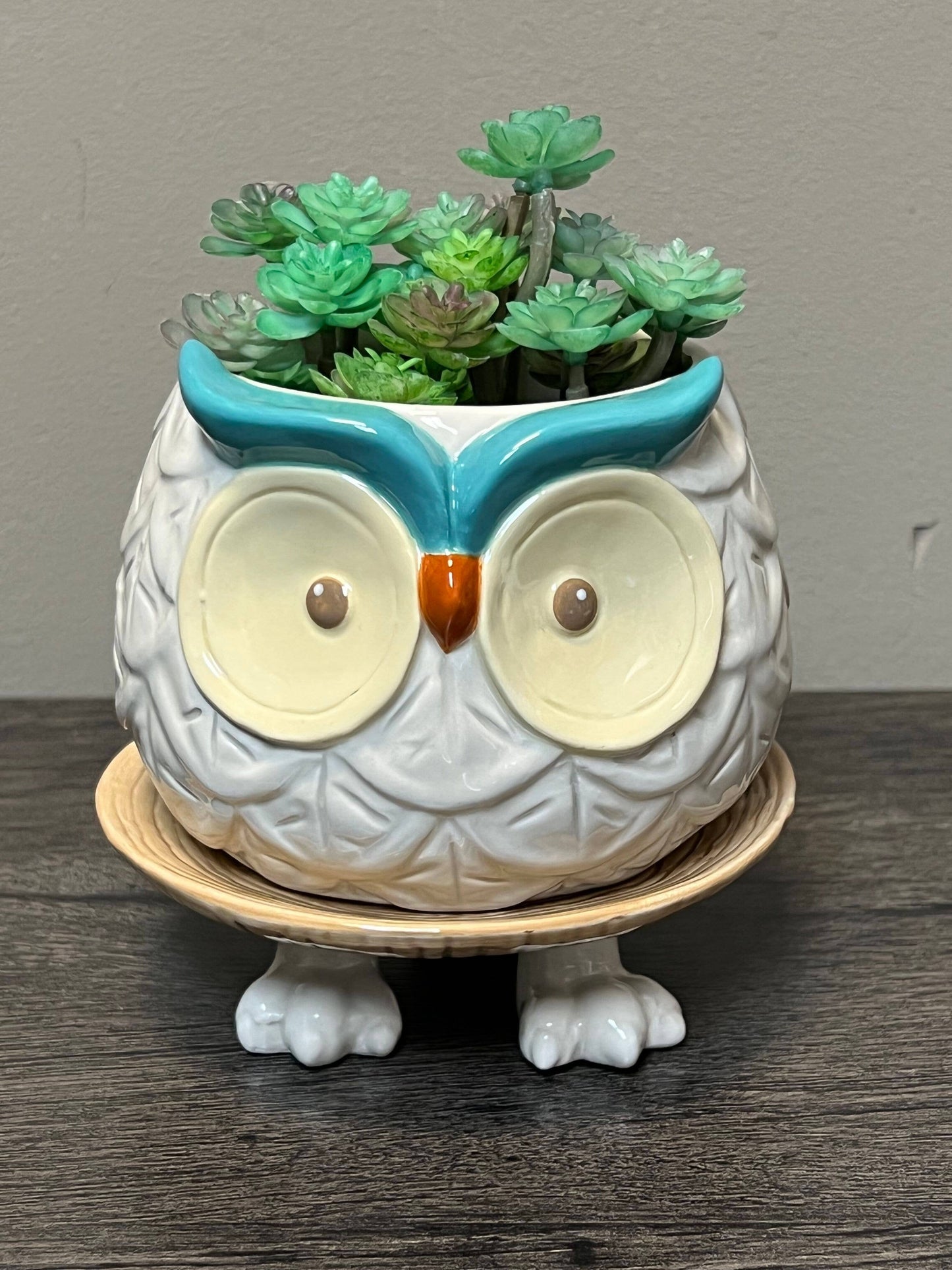 Hoots the Owl Ceramic Footsie Planter