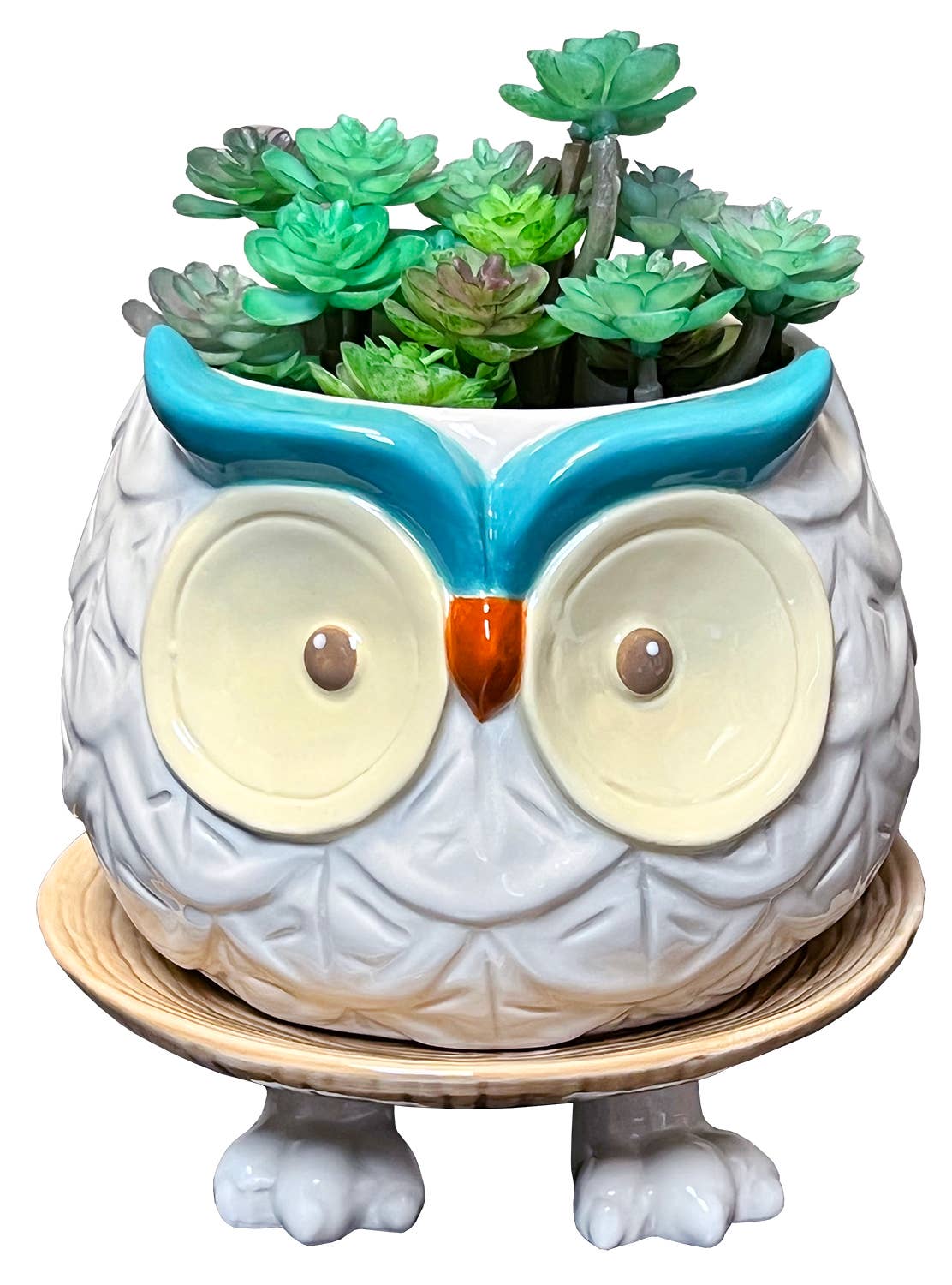 Hoots the Owl Ceramic Footsie Planter