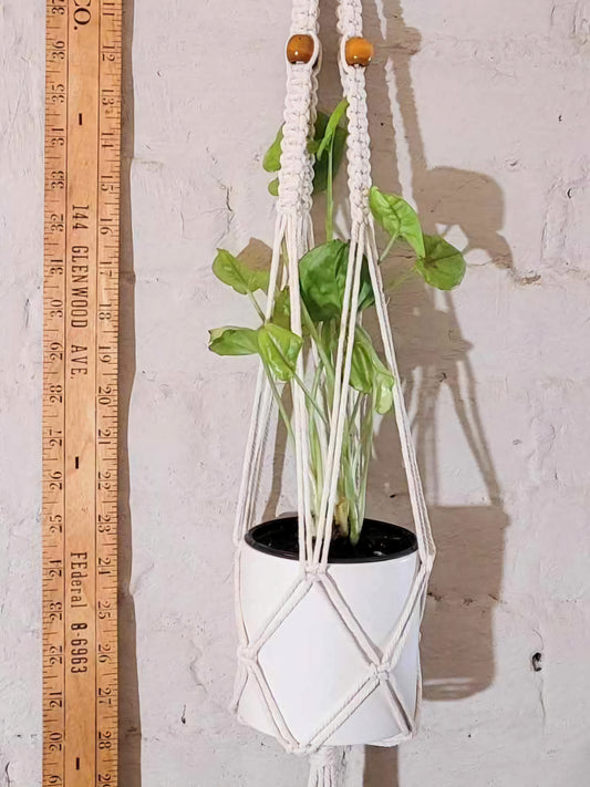 Make Your Own Macrame Plant Hanger Workshop - 1/12/2025