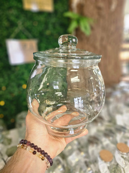 SSAB Terrarium Workshop 5/1/2026