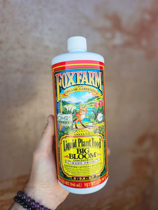FoxFarm Big Bloom Liquid Fertilizer for Houseplants