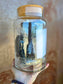Build Your Own Terrarium Kit - Glass Cork Jar