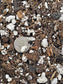 Aroid and Hoya Potting Mix - 2 Quart Bag
