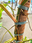 SAAM Auction - XXL Variegated Philodendron Domesticum