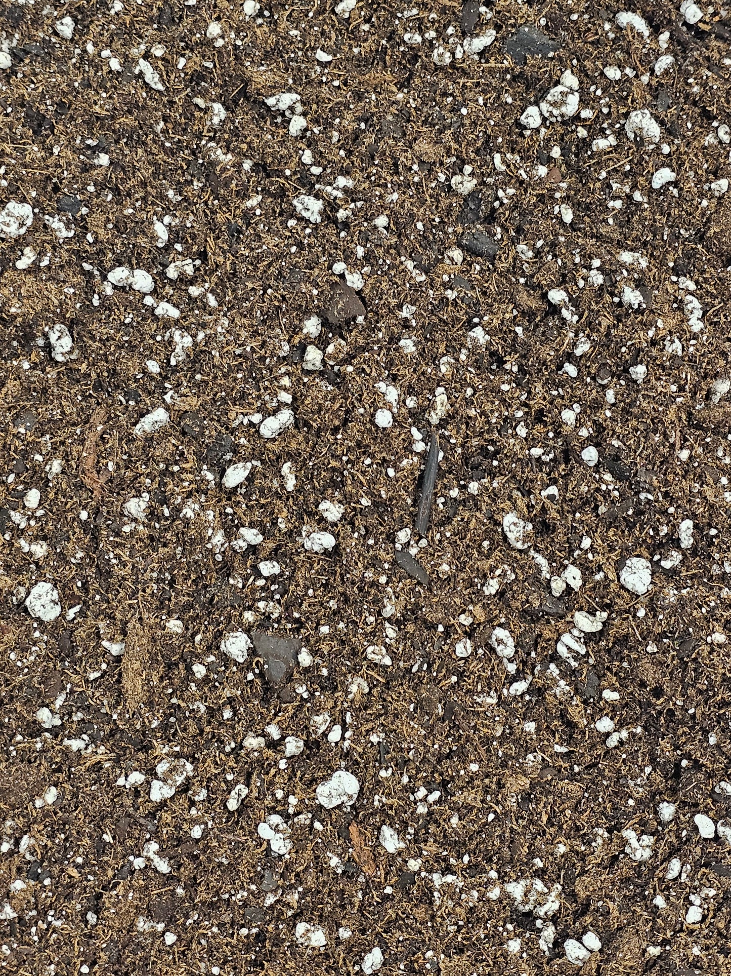 Base Mix - Potting Mix - 14 Quart Large Bag