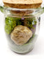 Amethyst Glass Terrarium with Break Your Own Geode