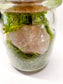 Rose Quartz Glass Terrarium with Break Your Own Geode