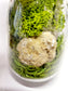 Rose Quartz Glass Terrarium with Break Your Own Geode