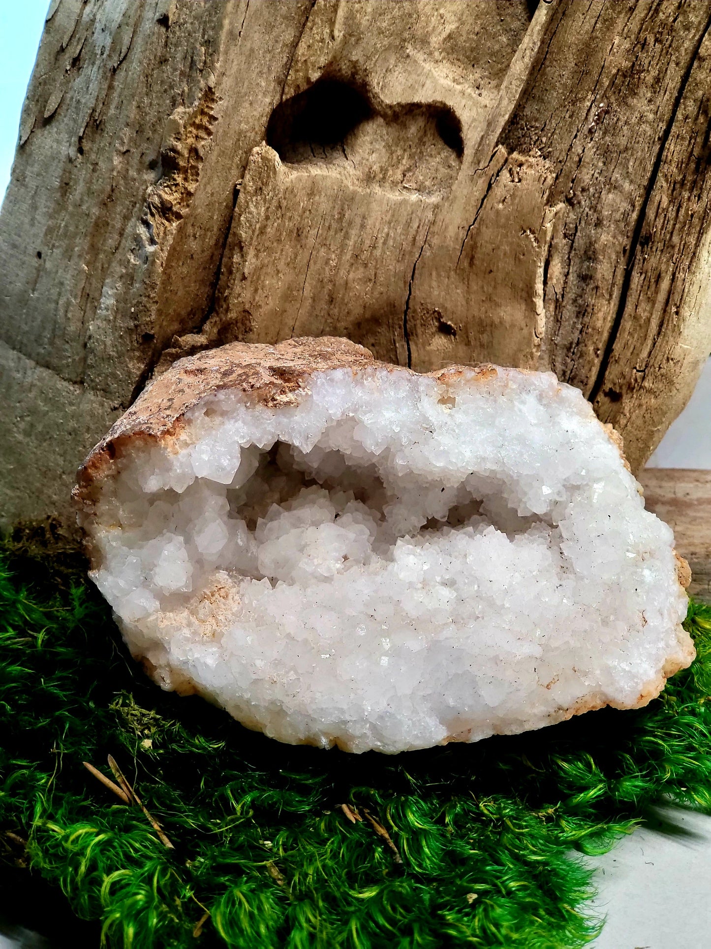 *Random* Crystal & Glass Terrarium with Break Your Own Geode