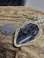 Fossilized Palm Root and Silver Wire Wrapped Necklace